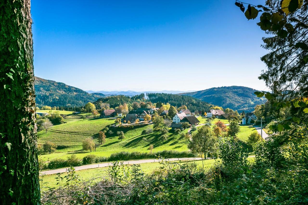 Hotel-Restaurant Sennhuette Im Herzen Des Suedschwarzwalds Kleines Wiesental Экстерьер фото