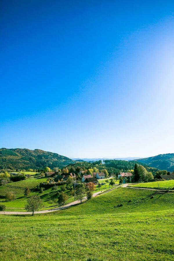 Hotel-Restaurant Sennhuette Im Herzen Des Suedschwarzwalds Kleines Wiesental Экстерьер фото
